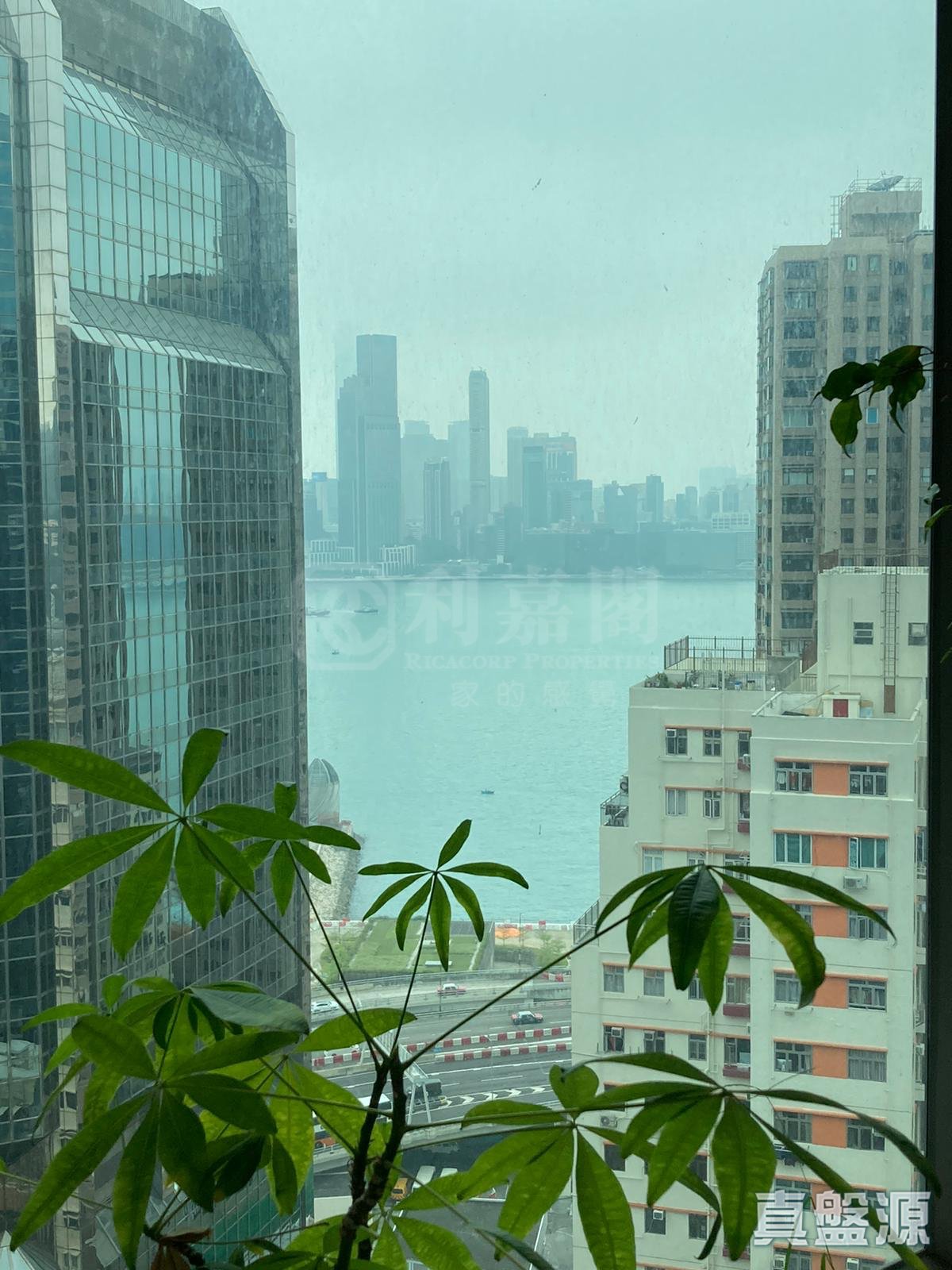 DIVA 极高层 D室 北角/北角半山