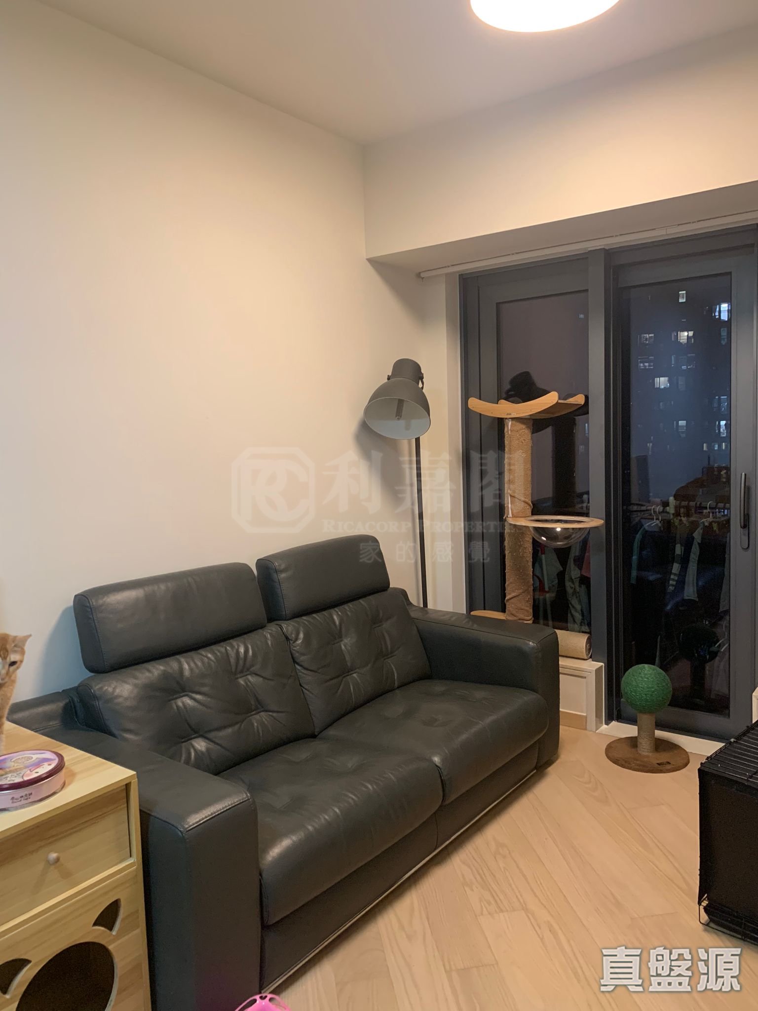 天鑽 1座 高層 J室 大埔