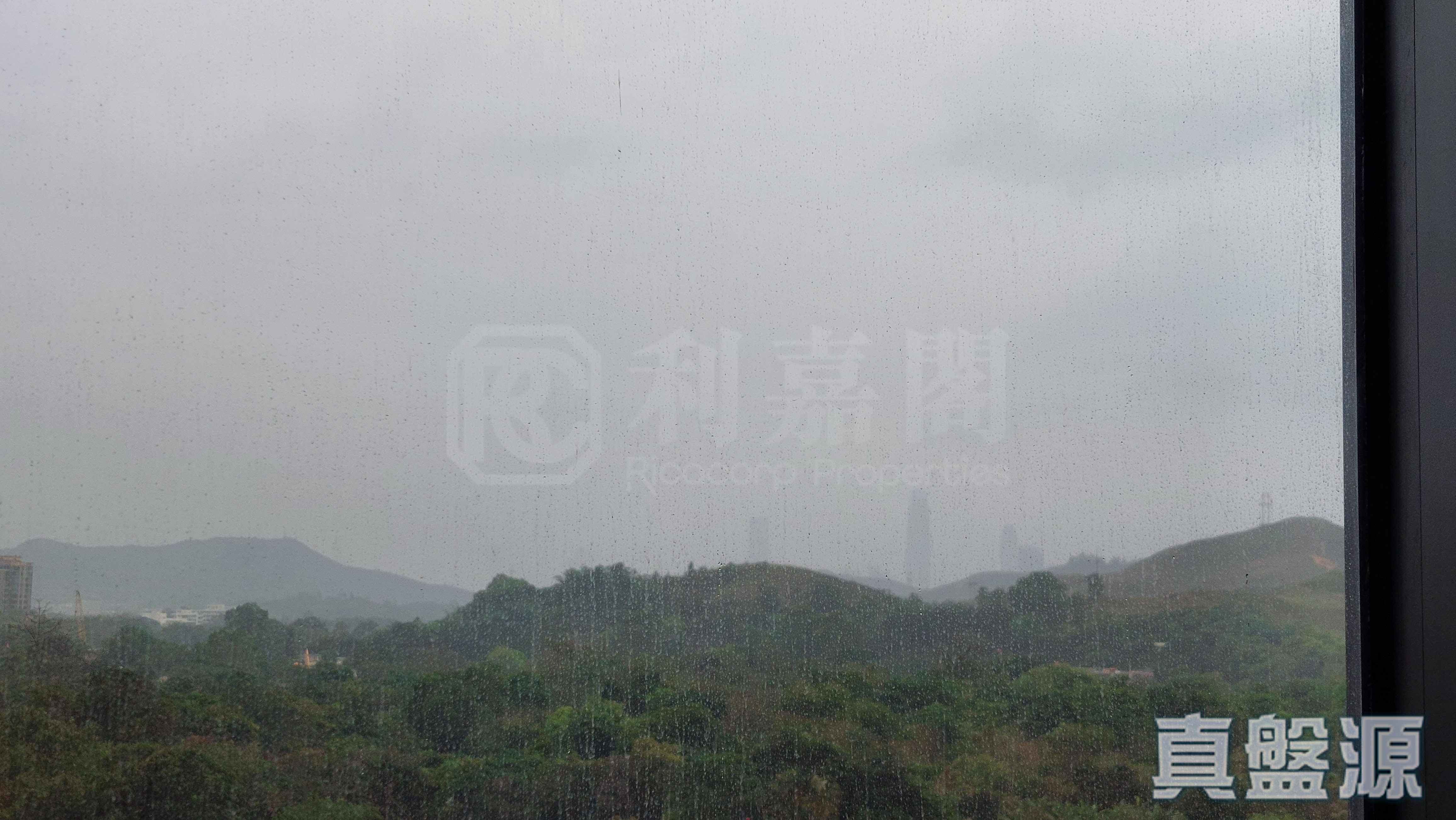 ONE INNOVALE 1期 B座 中層 12室 上水/粉嶺/古洞