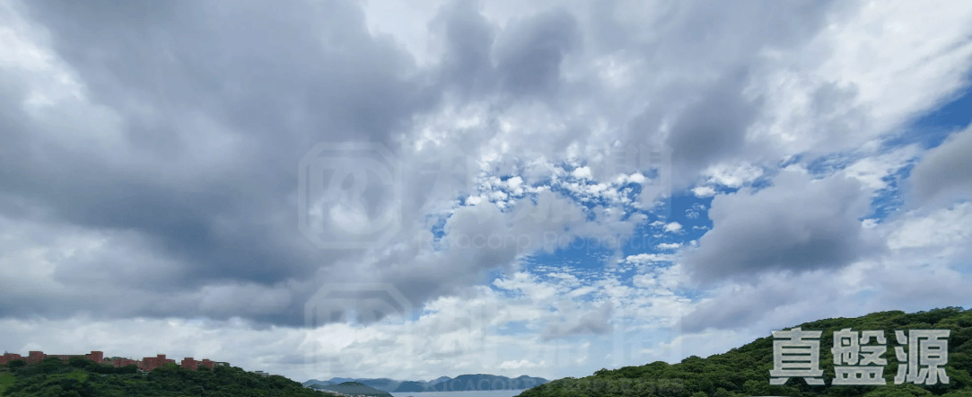 兩塊田 131號 中層 西貢