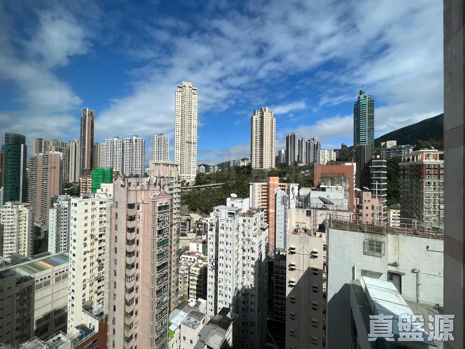 名仕花園 極高層 C室 跑馬地/東半山