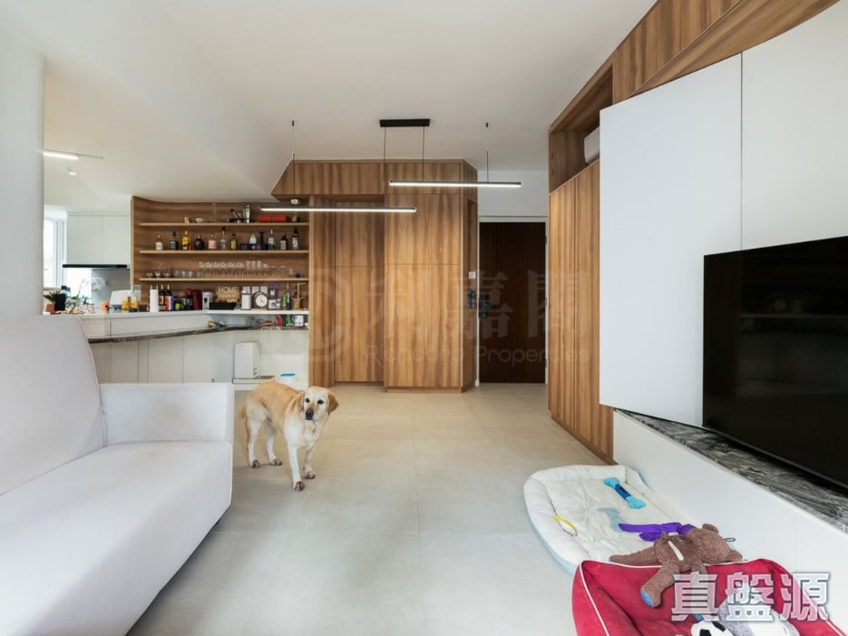 正大花園 高層 C室 西半山