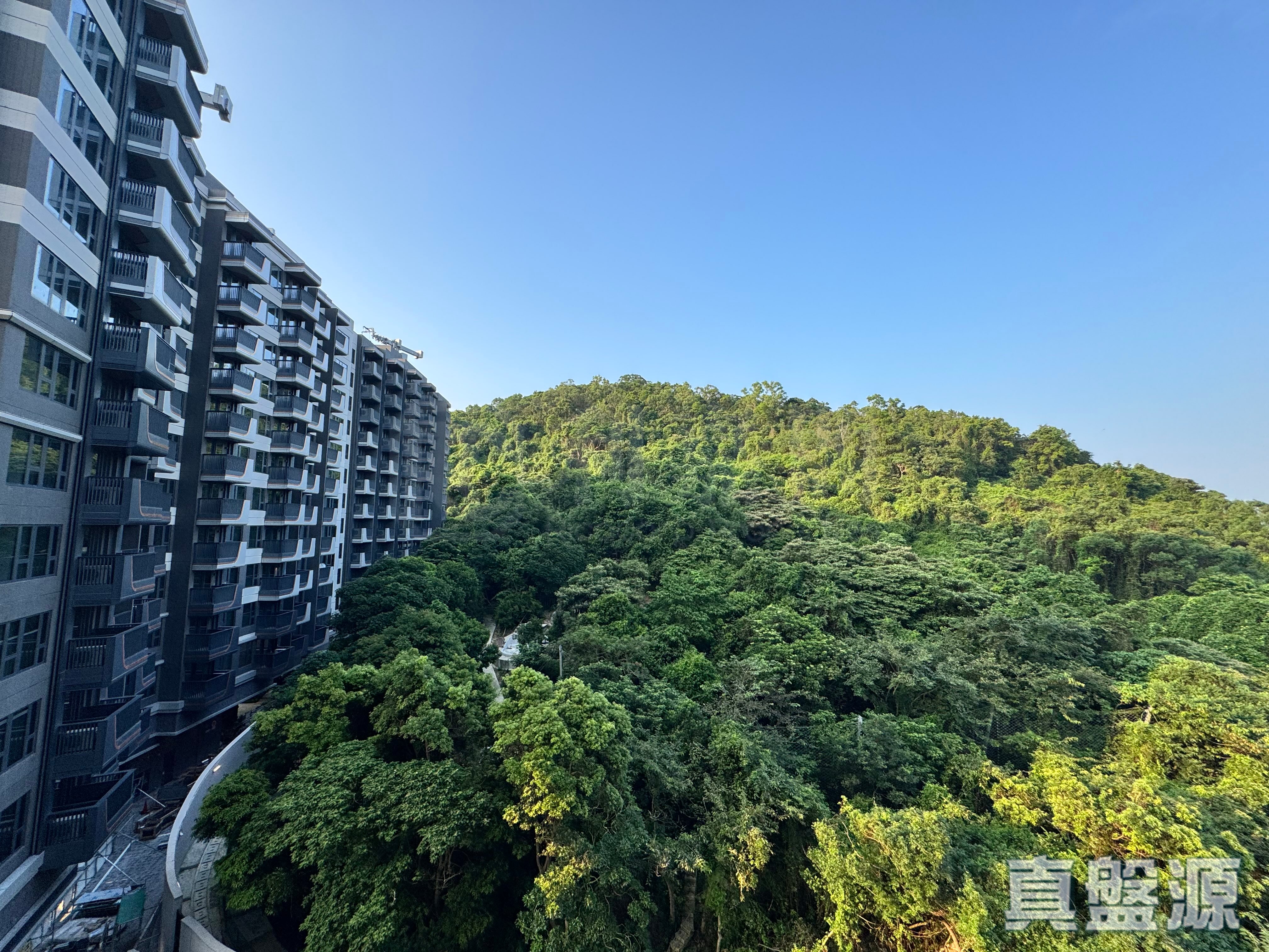 上然 1期 2座 高層 C7室 大埔