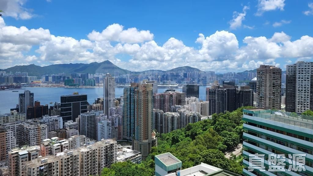 雲峰大廈 D座 高層 北角/北角半山