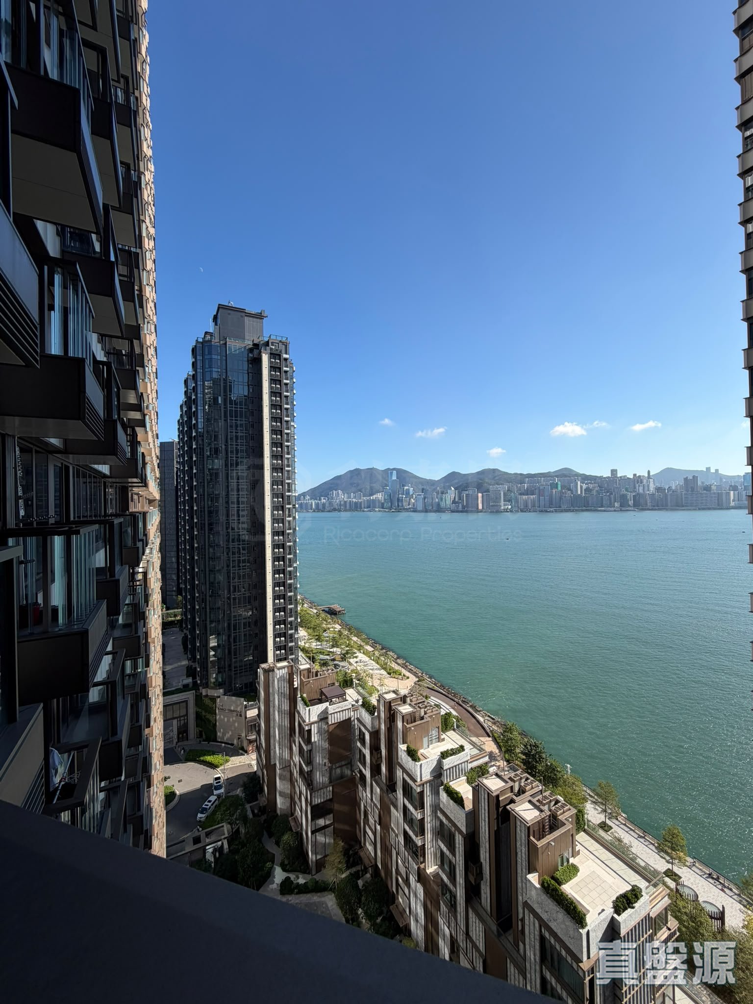 澐璟 3B座 高層 C室 土瓜灣/九龍城/新啟德/新蒲崗