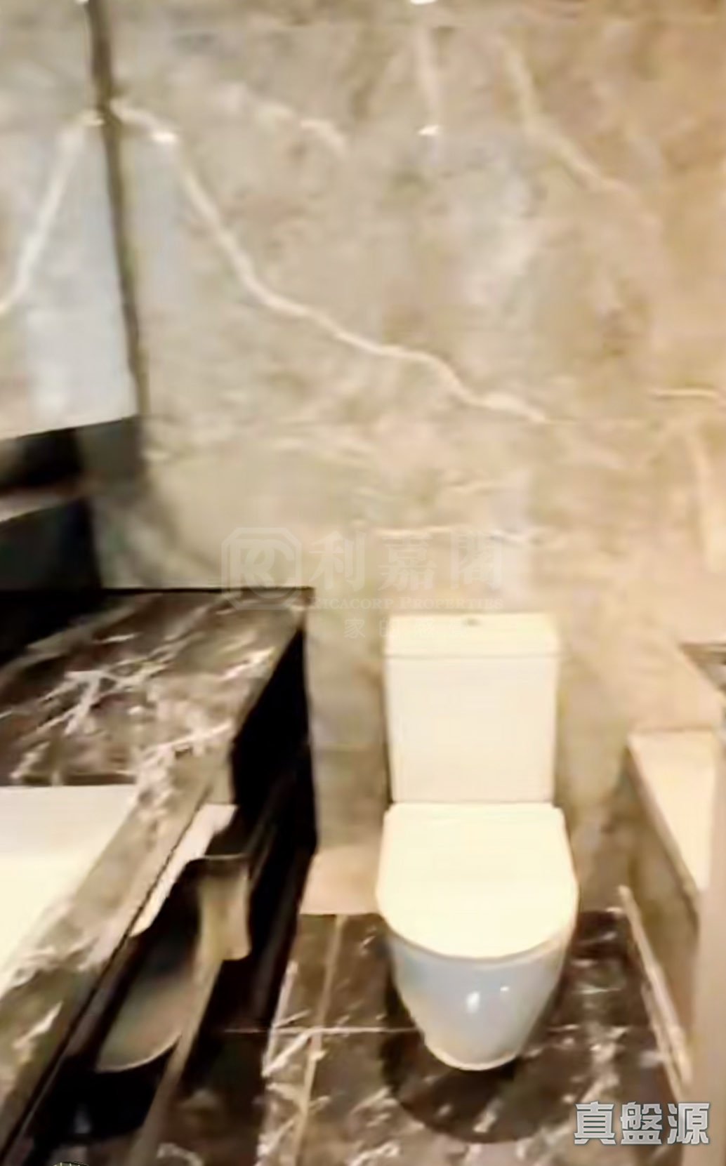 THE SOUTHSIDE PHASE 3B BLUE COAST - Tower 2 (2b) Medium Floor Zone Flat D Wong Chuk Hang/Sham Wan