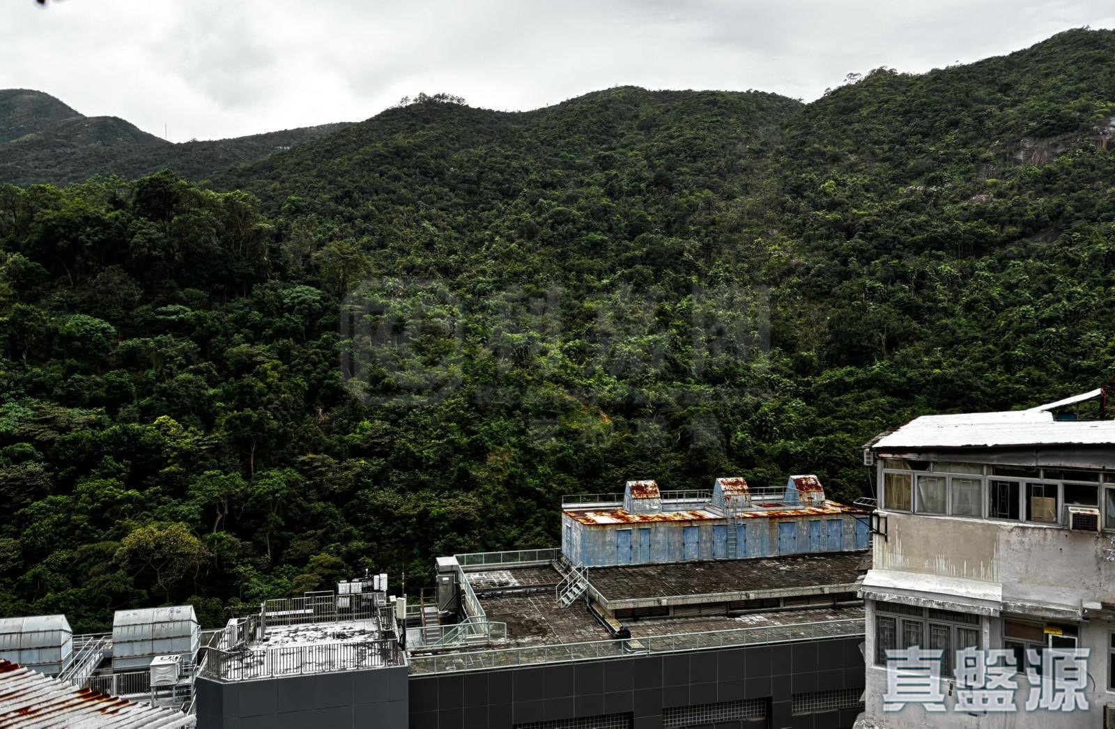 益昌大廈 極高層 A4室 康怡/鰂魚涌/太古城