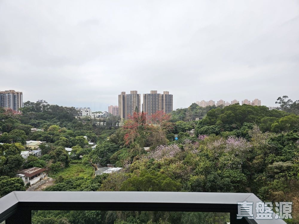 緹岸 2期 5A座 高層 B室 深井/青山公路
