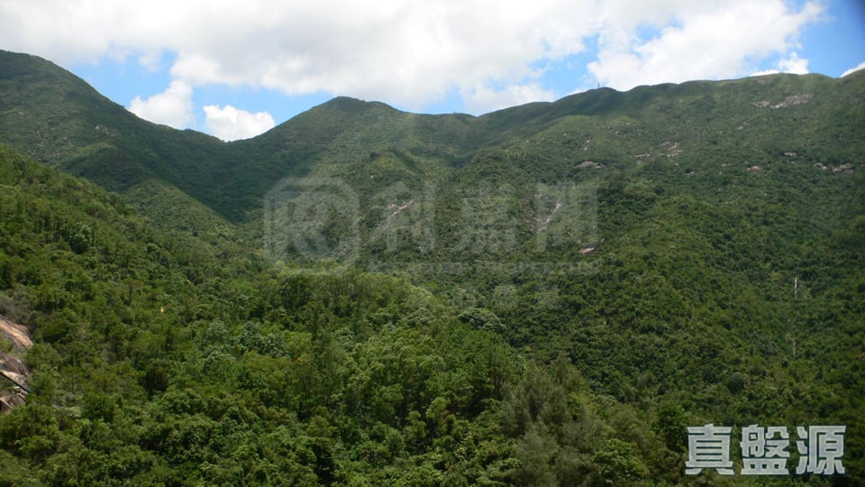 KORNHILL BLOCK C (FLAT 9 - 16) High Floor Zone Flat 13-14 Quarry Bay/Kornhill/Taikoo Shing