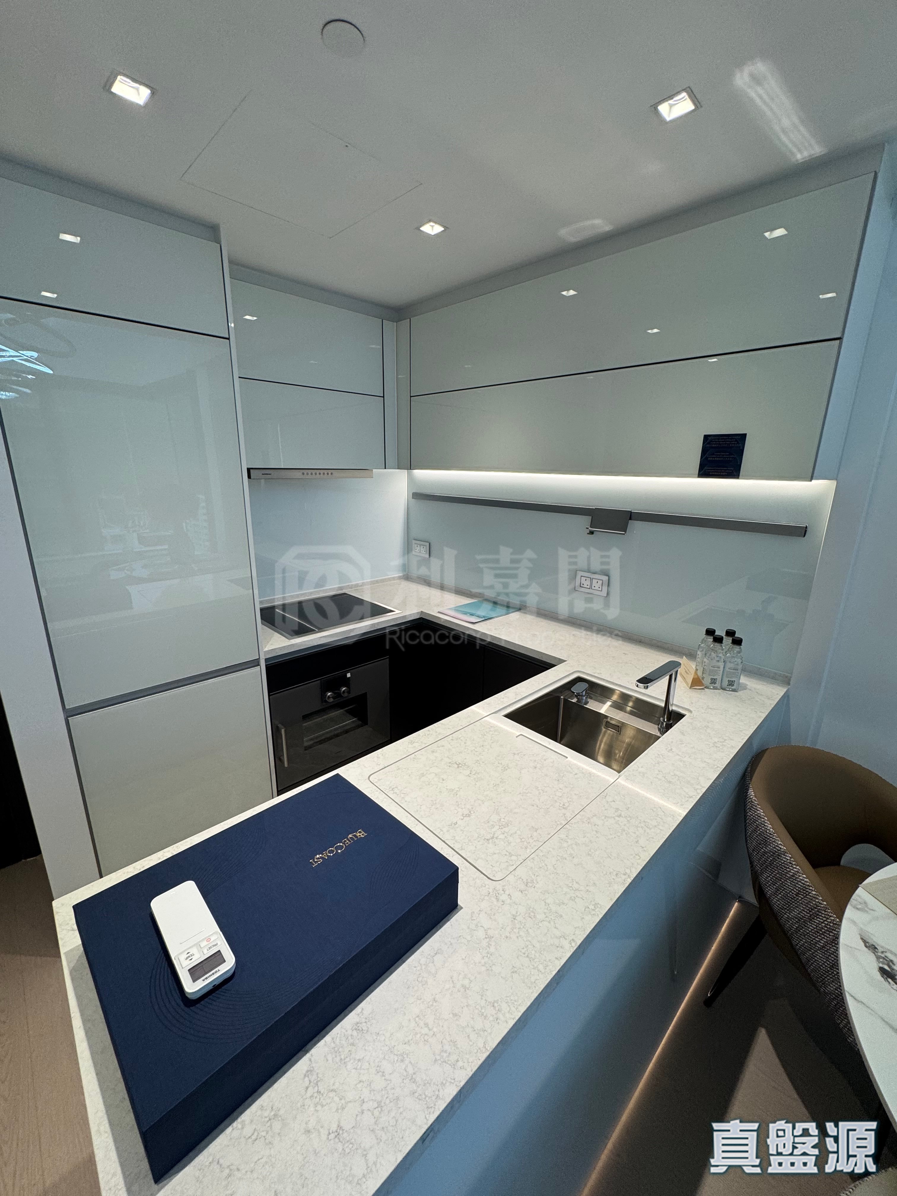 港岛南岸 3B期 BLUE COAST 2座 (2B) 低层 B室 黄竹坑/深湾