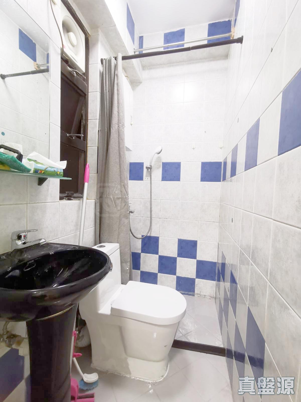 河畔花园 C座 高层 6室 沙田/火炭/九肚山