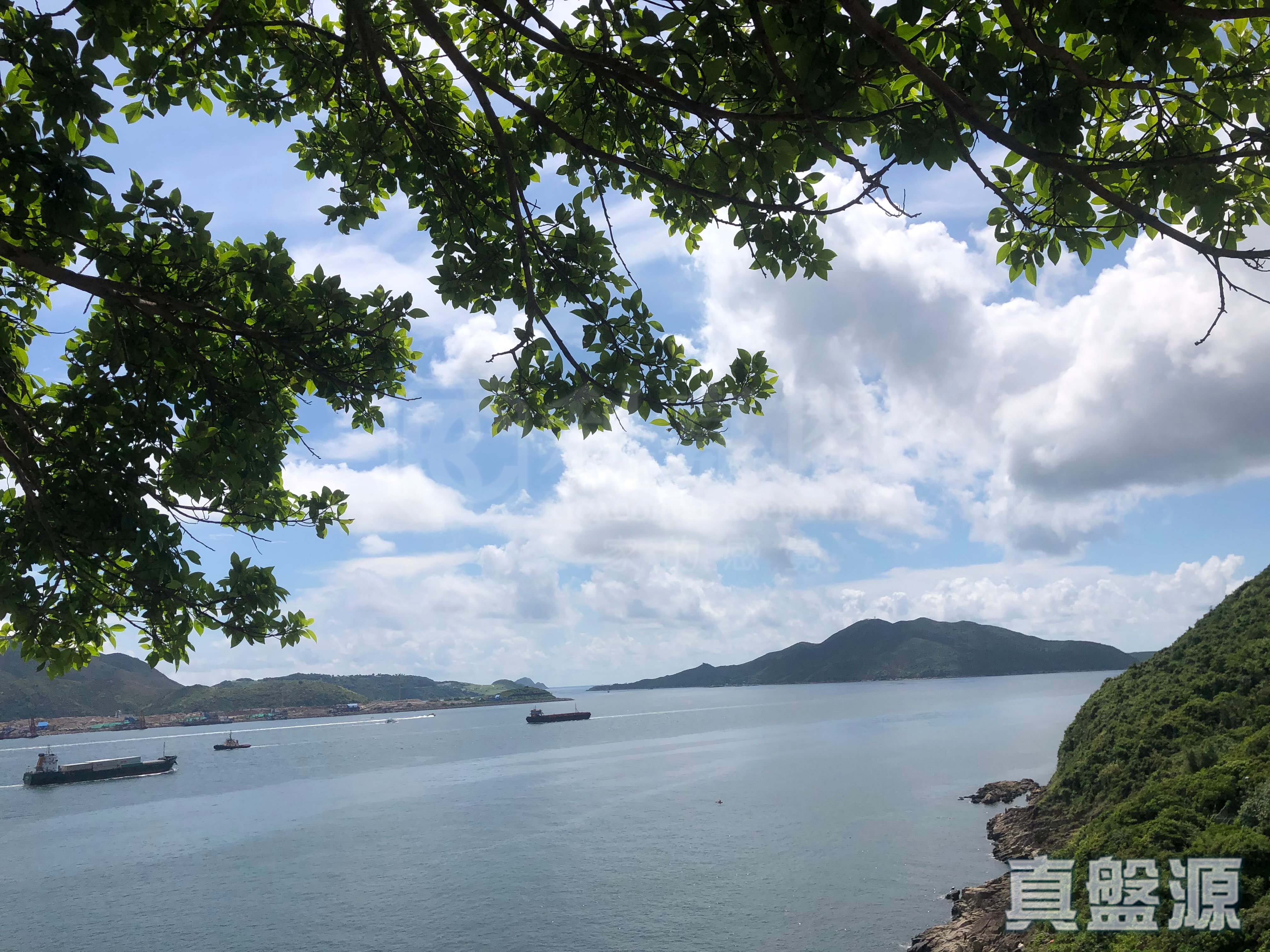 藍灣半島 7座 高層 C室 杏花邨/藍灣半島/柴灣