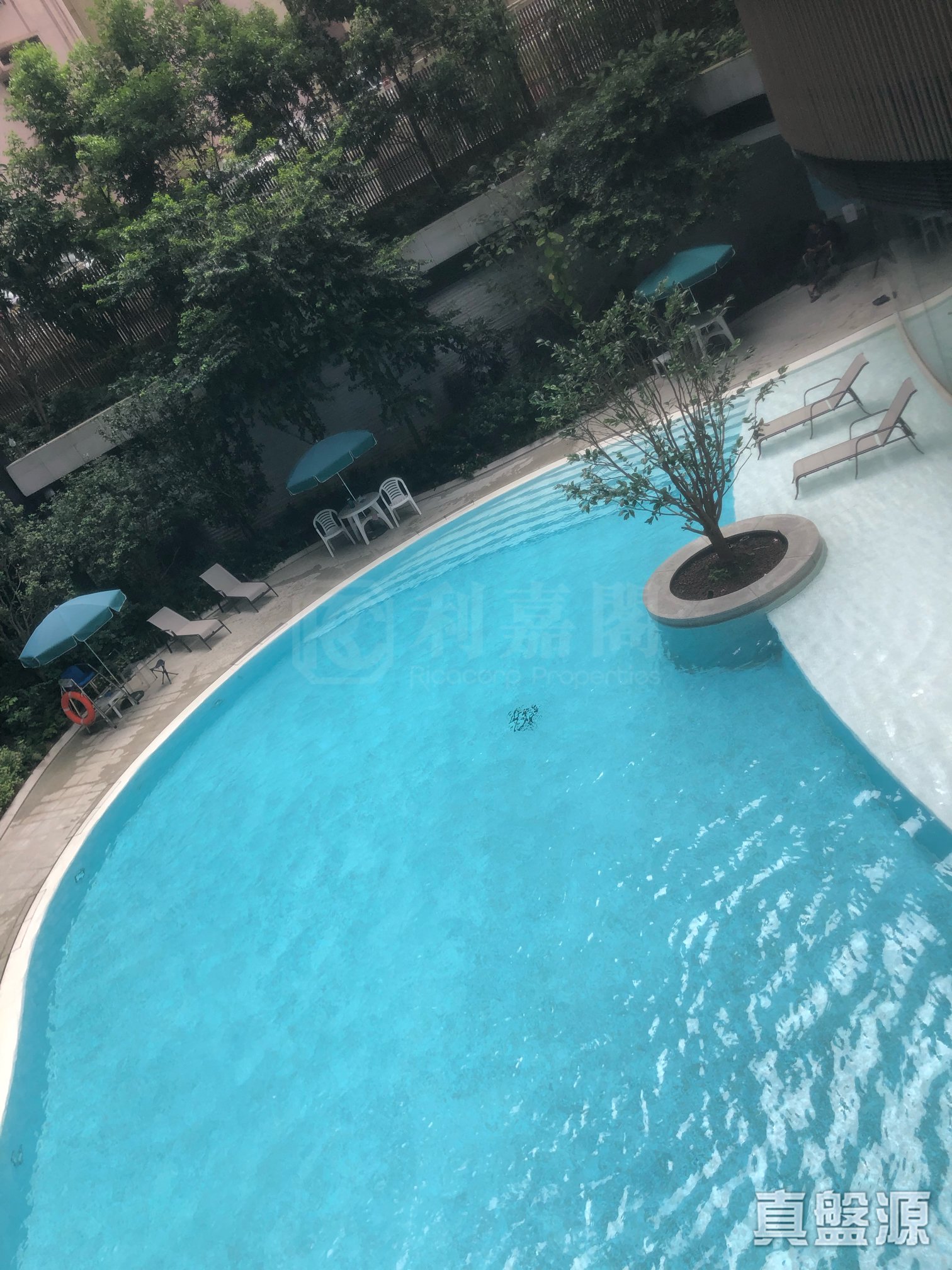 柏蔚山 1座 高层 A室 北角/北角半山