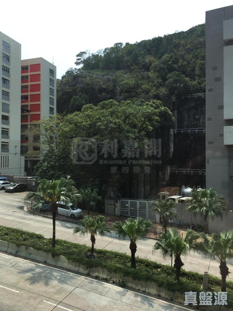 香岛 5座 低层 E室 西湾河/筲箕湾