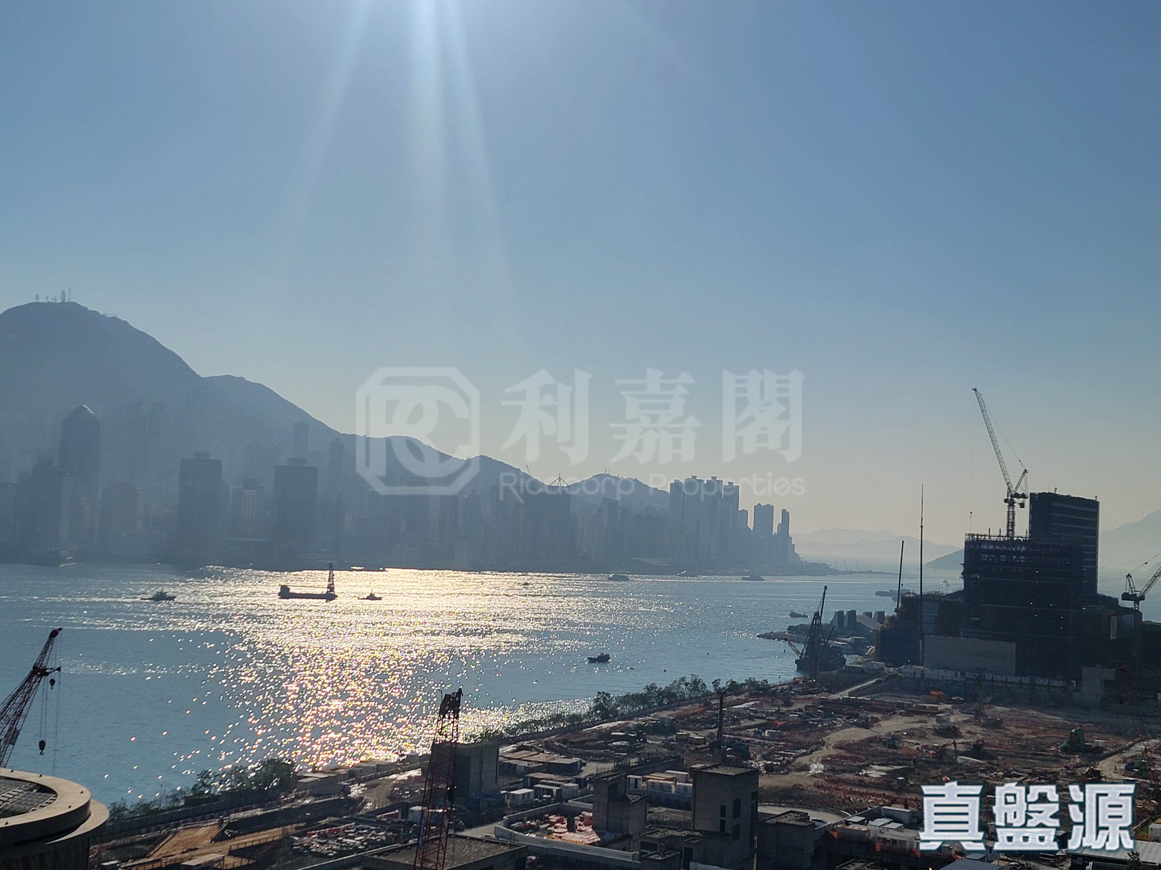 GRAND AUSTIN 1座 中層 C室 九龍站/尖沙咀/佐敦