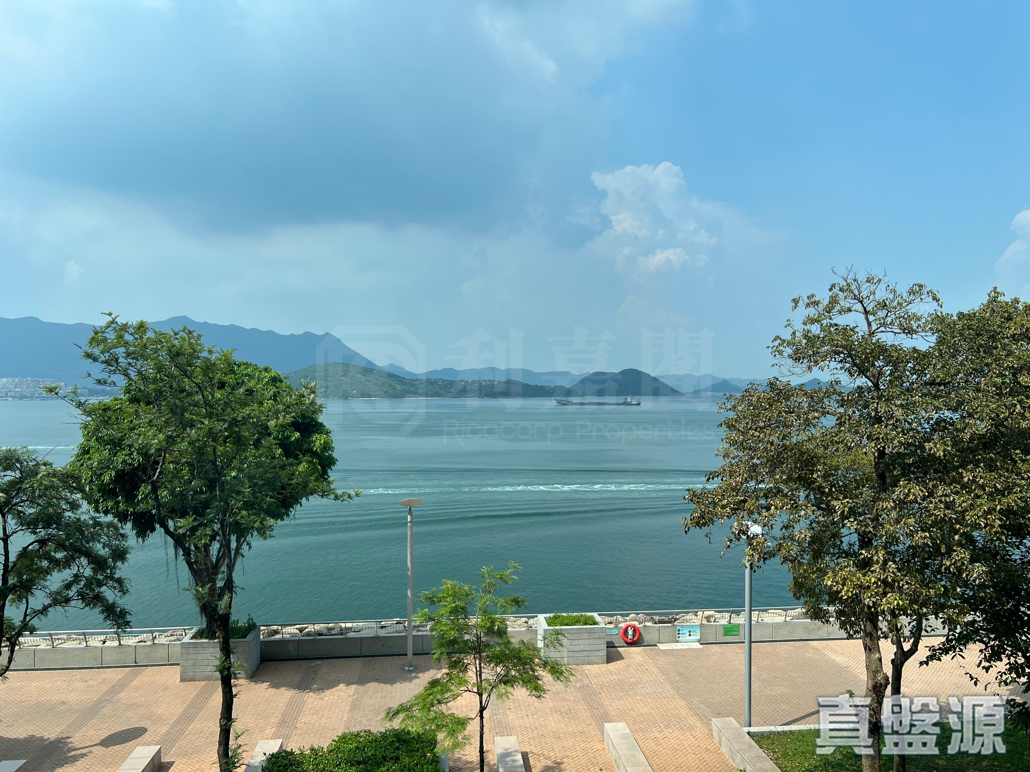 天賦海灣 1期 2座 中層 大埔