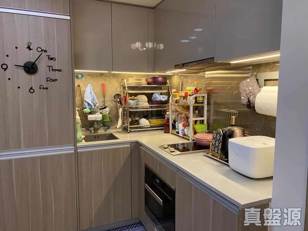 ALTISSIMO TOWER 5 Low Floor Zone Flat E Ma On Shan