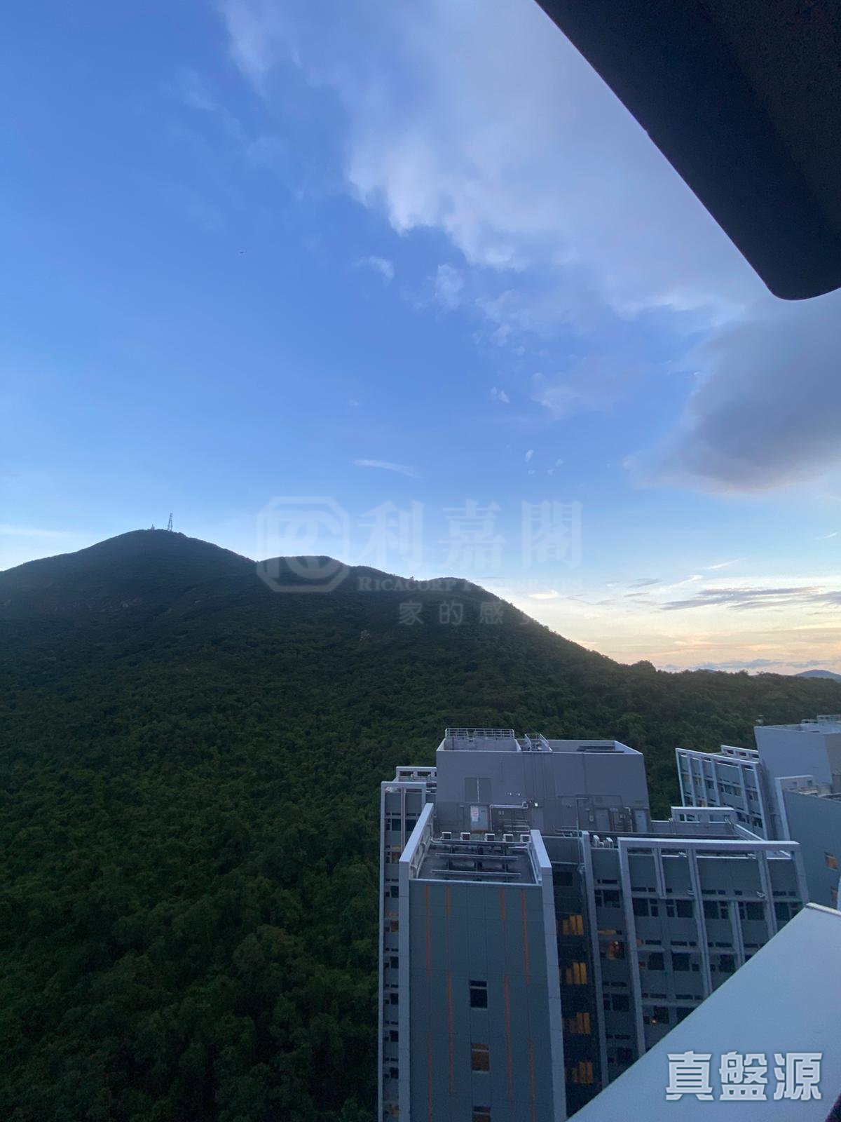 港岛南岸 4A期 海盈山 2座 (2B) 高层 A室 黄竹坑/深湾