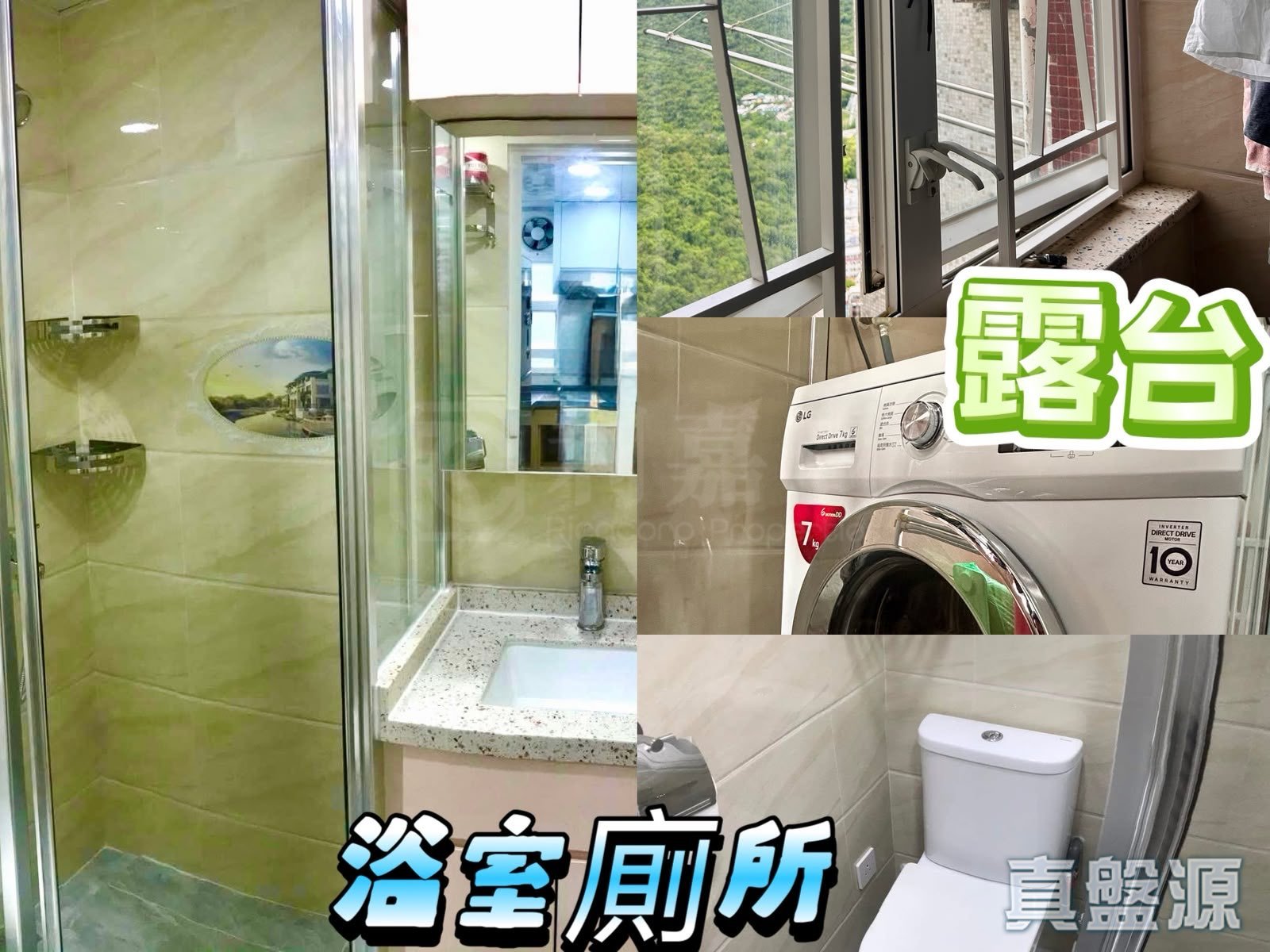 翠林邨 輝林樓 (6座) 極高層 17室 將軍澳