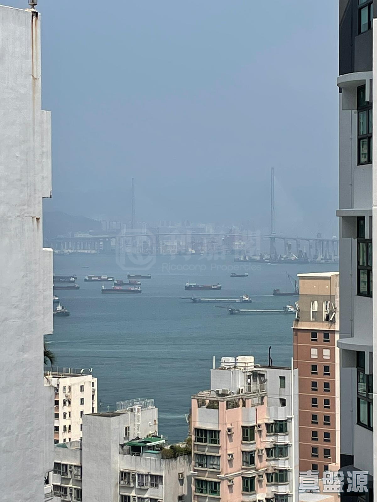 尚岭 高层 C室 中上环/西区