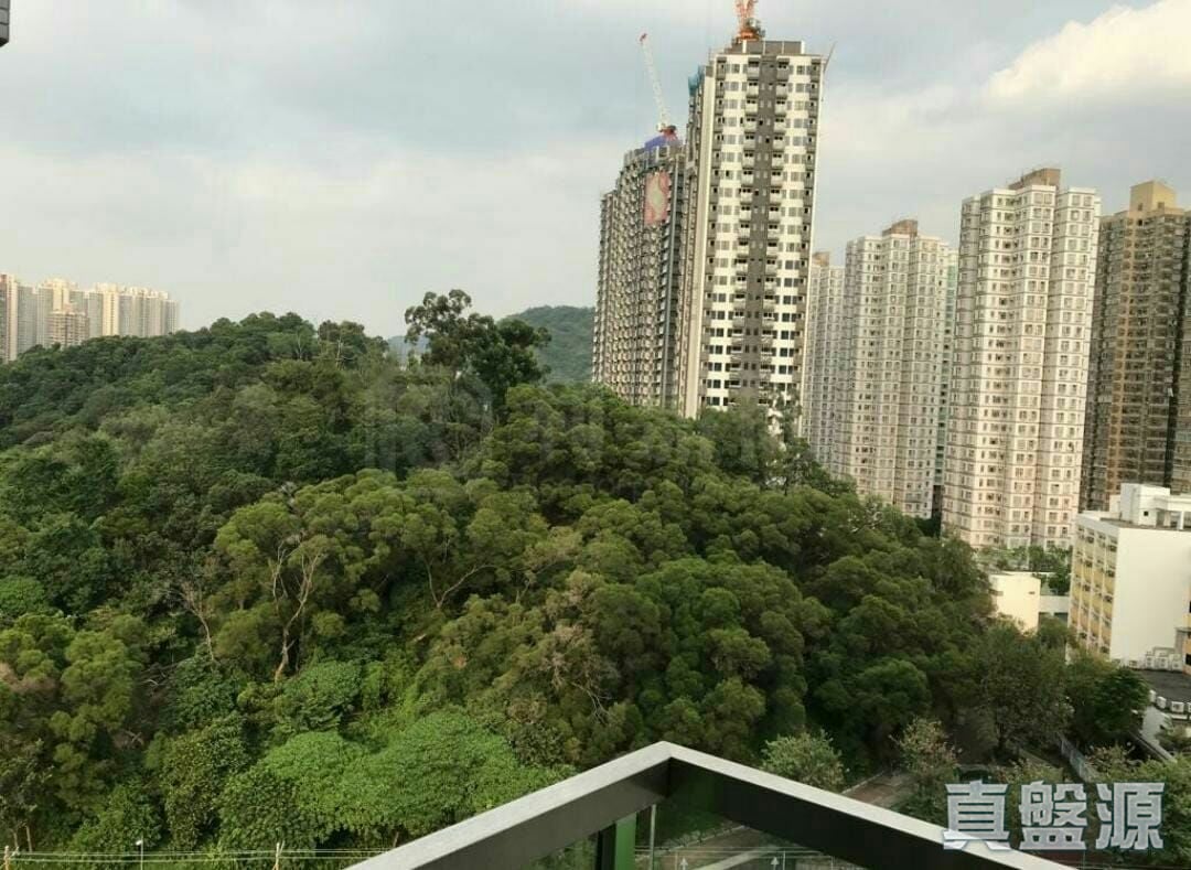 T PLUS Medium Floor Zone Flat 19 Tuen Mun