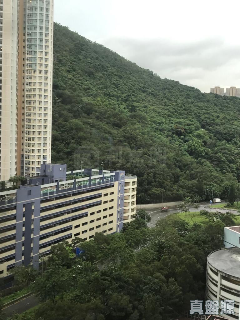将军澳中心 1期 7座 中层 C室 将军澳