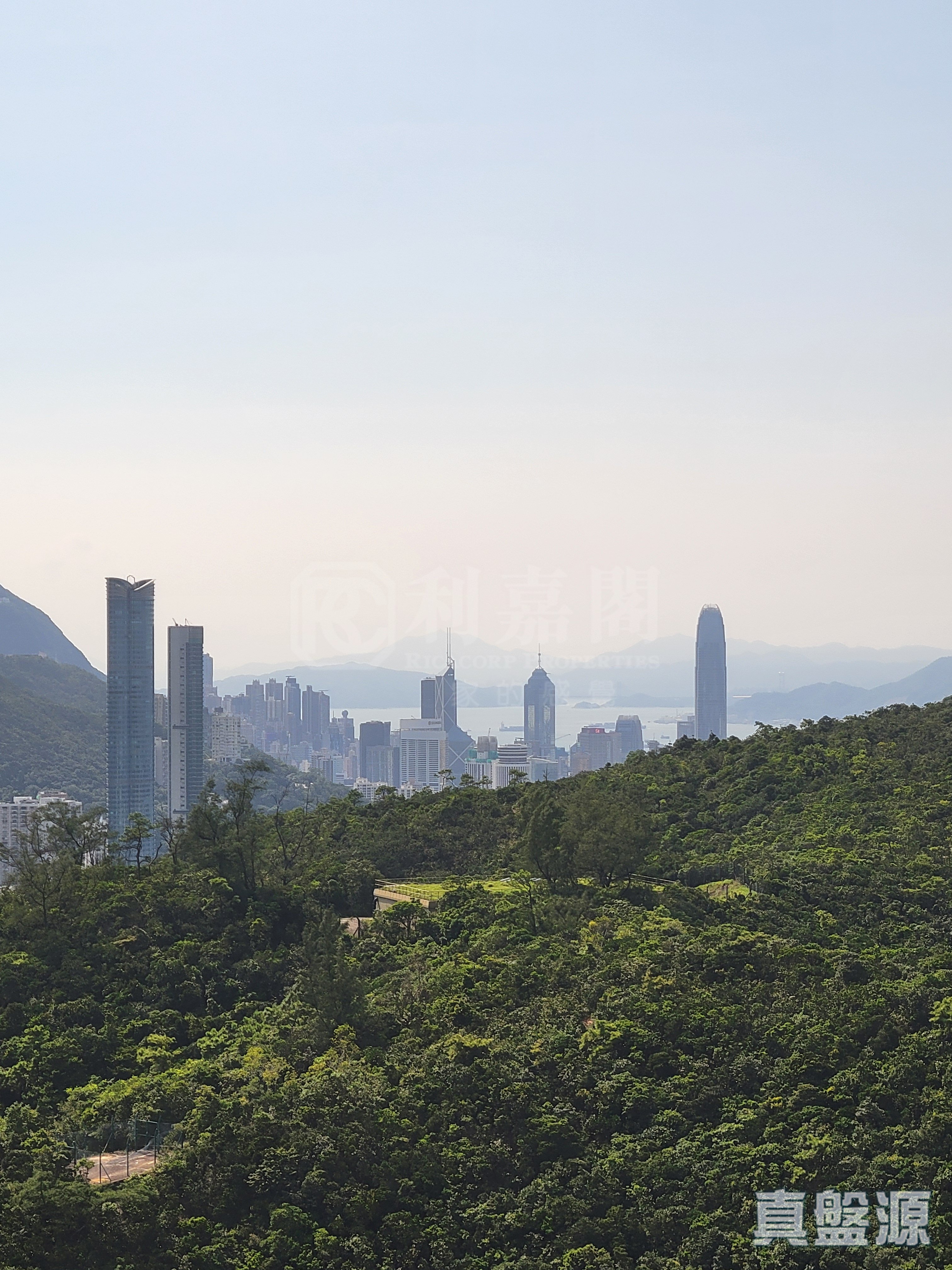 陽明山莊 山景園 4座 高層 31室 山頂/南區