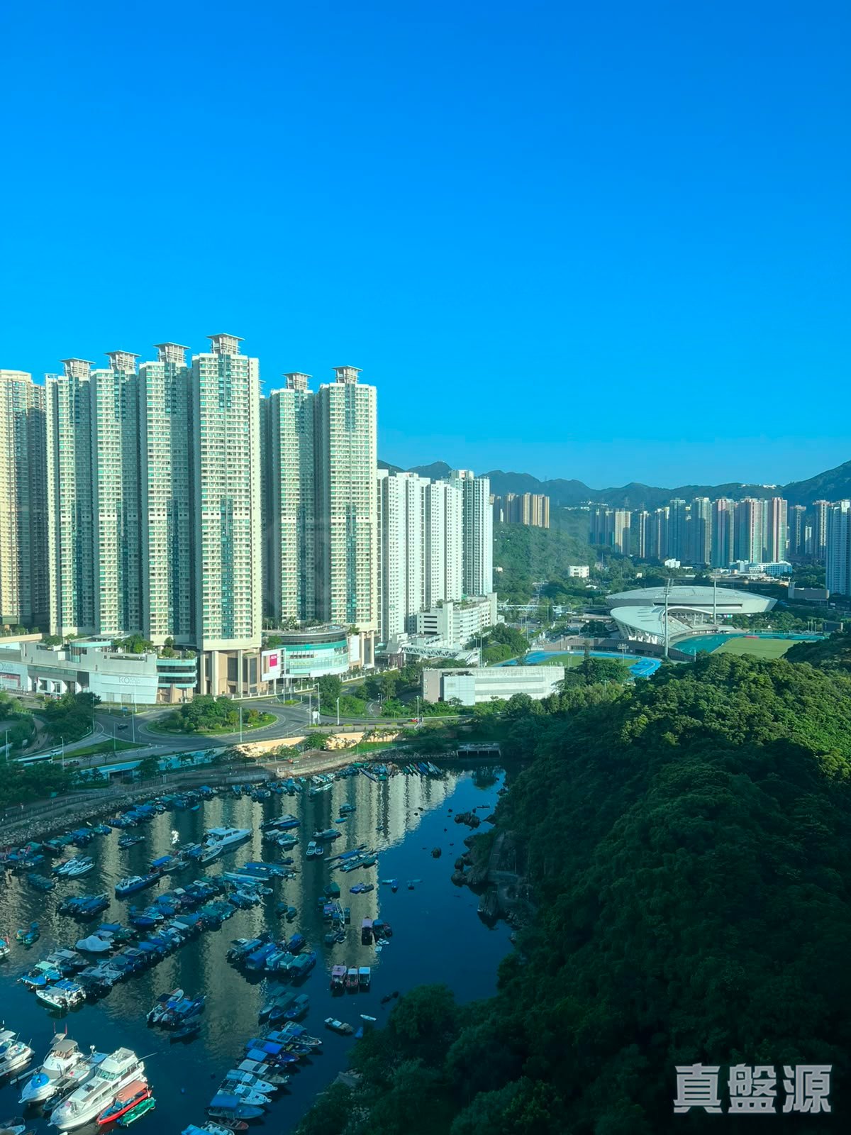 清水灣半島 2期 6座 中層 D室 將軍澳