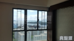 OCEANIC VIEW Very High Floor Zone Flat B West Kowloon