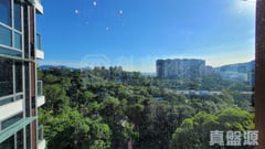 緹岸 1期 1座 中層 C室 深井/青山公路