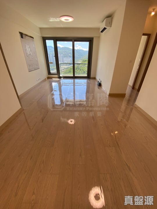 名日．九肚山 2座 高层 B室 沙田/火炭/九肚山