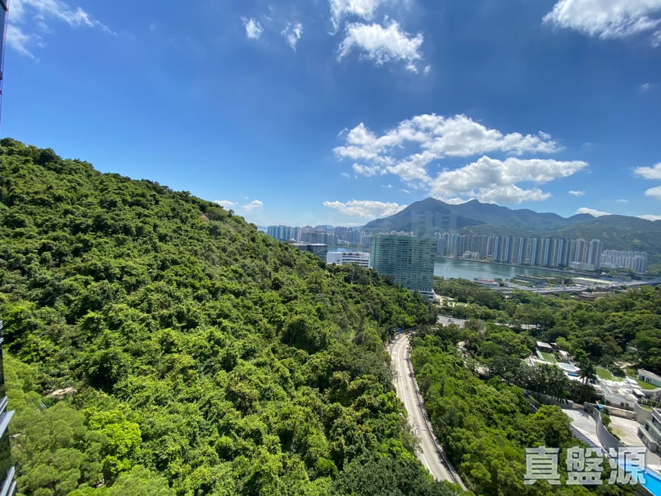 名日．九肚山 2座 高層 B室 沙田/火炭/九肚山