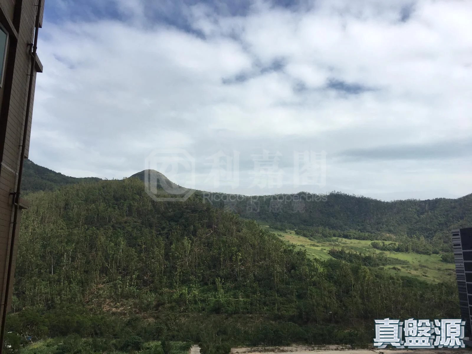 日出康城 2期C 领凯 10座 中层 LB室 将军澳