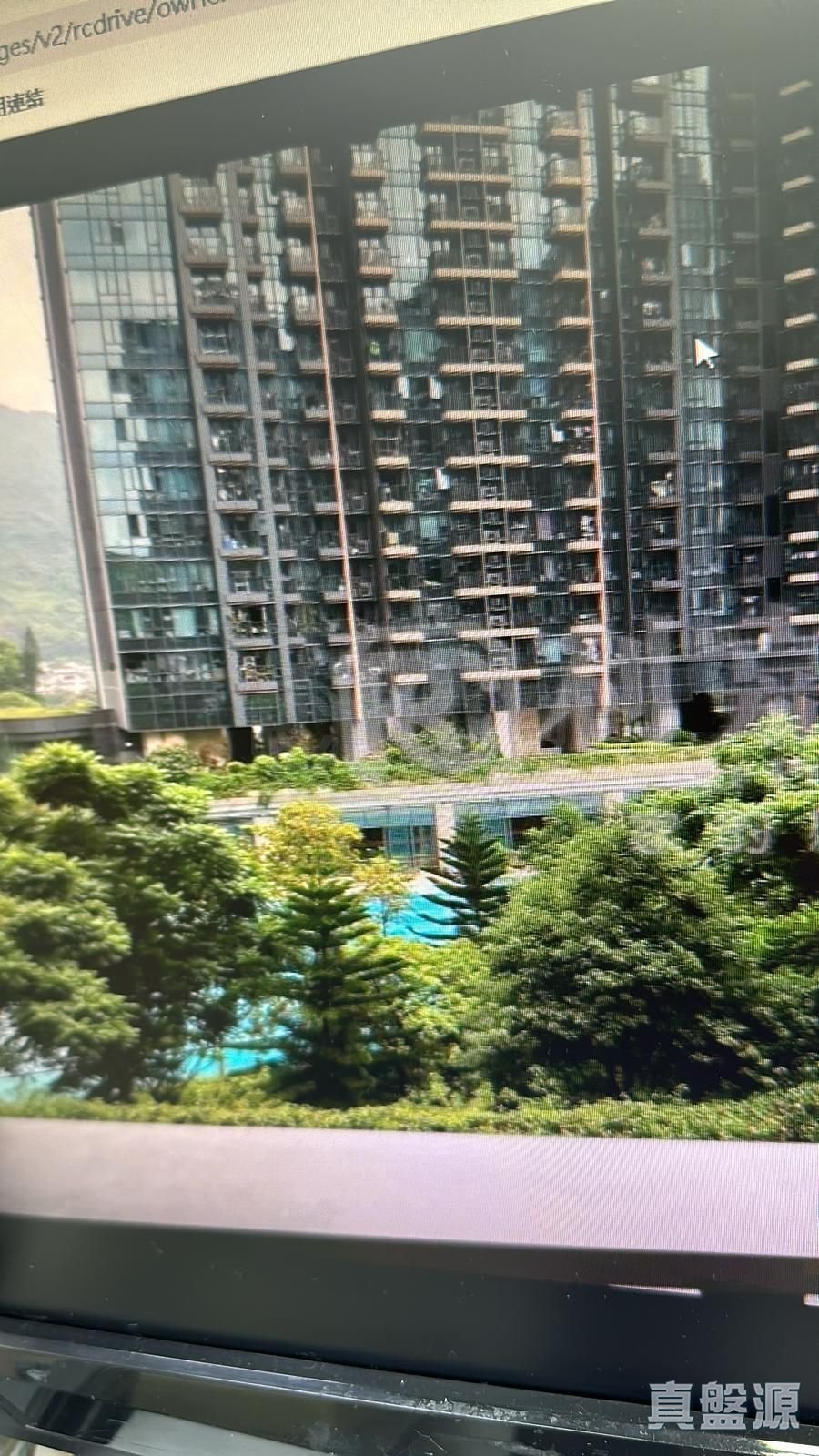 天钻 5座 低层 B室 大埔