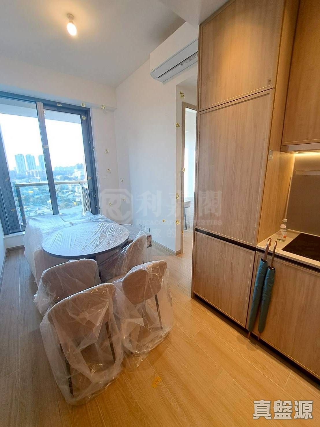 朗天峰 1座 (1A) 中层 F室 元朗