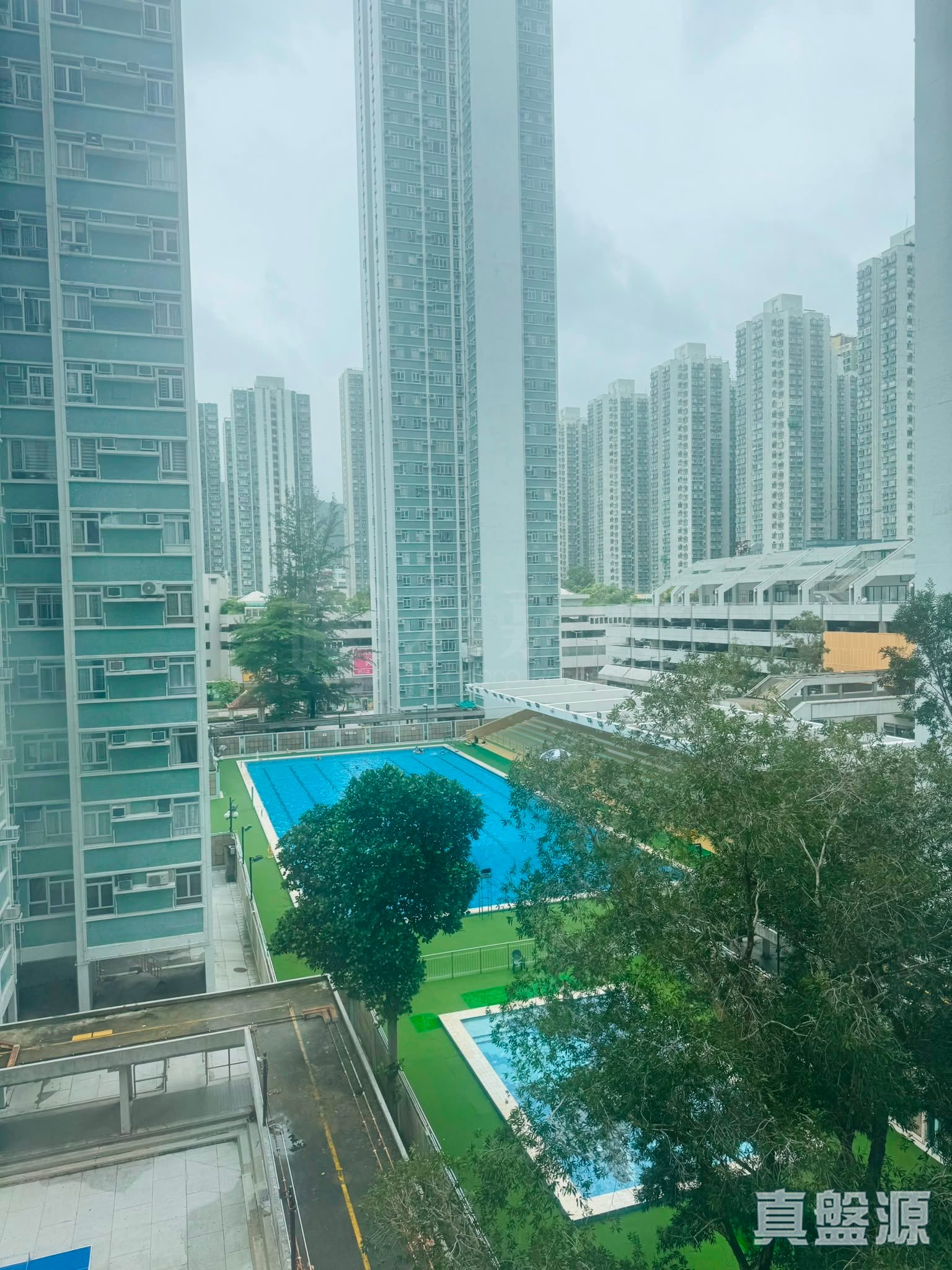 沙田第一城 1期 8座 低層 E室 沙田/火炭/九肚山