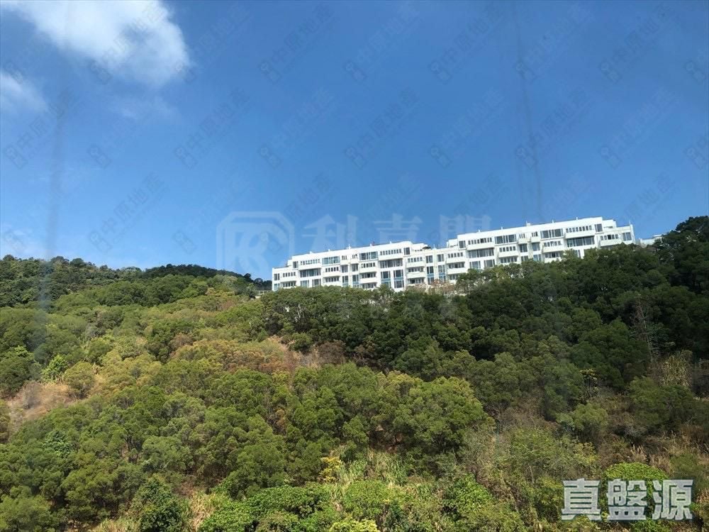 玖珑山 傲珑阁 第3座 高层 C室 沙田/火炭/九肚山