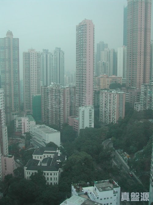 俊傑花園 極高層 F室 西半山