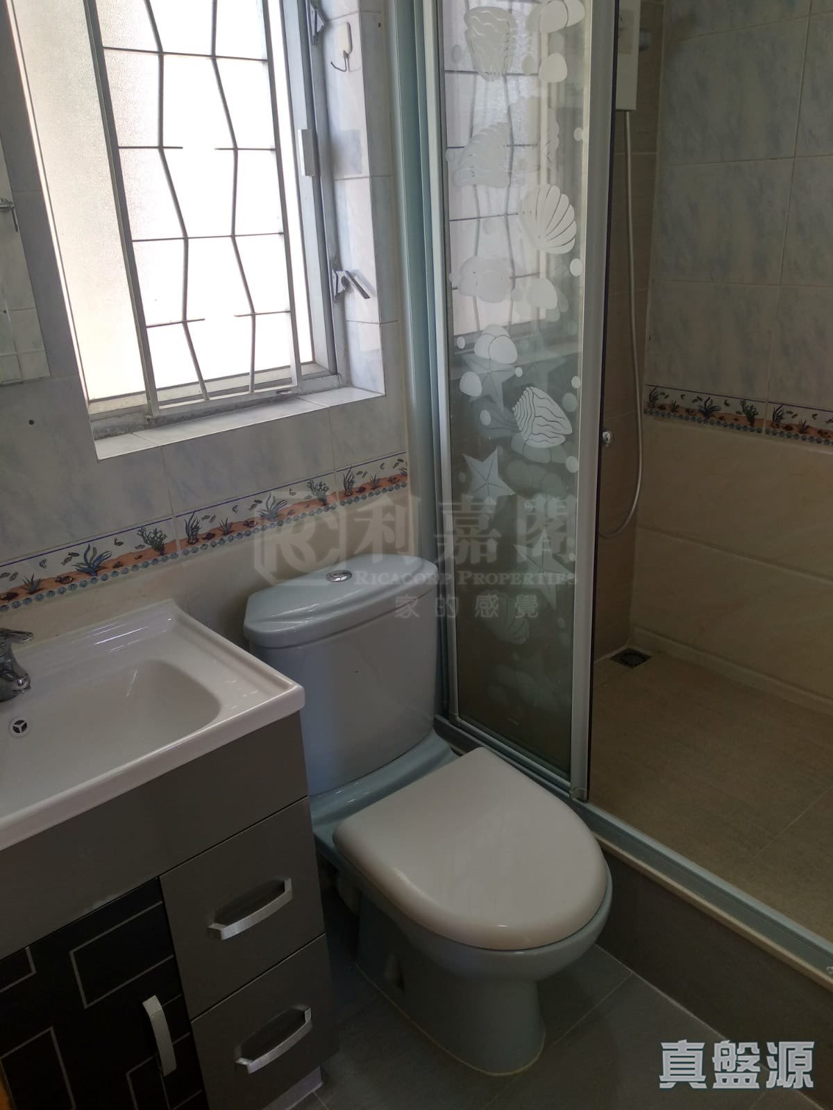 沙田第一城 4期 38座 低层 C室 沙田/火炭/九肚山