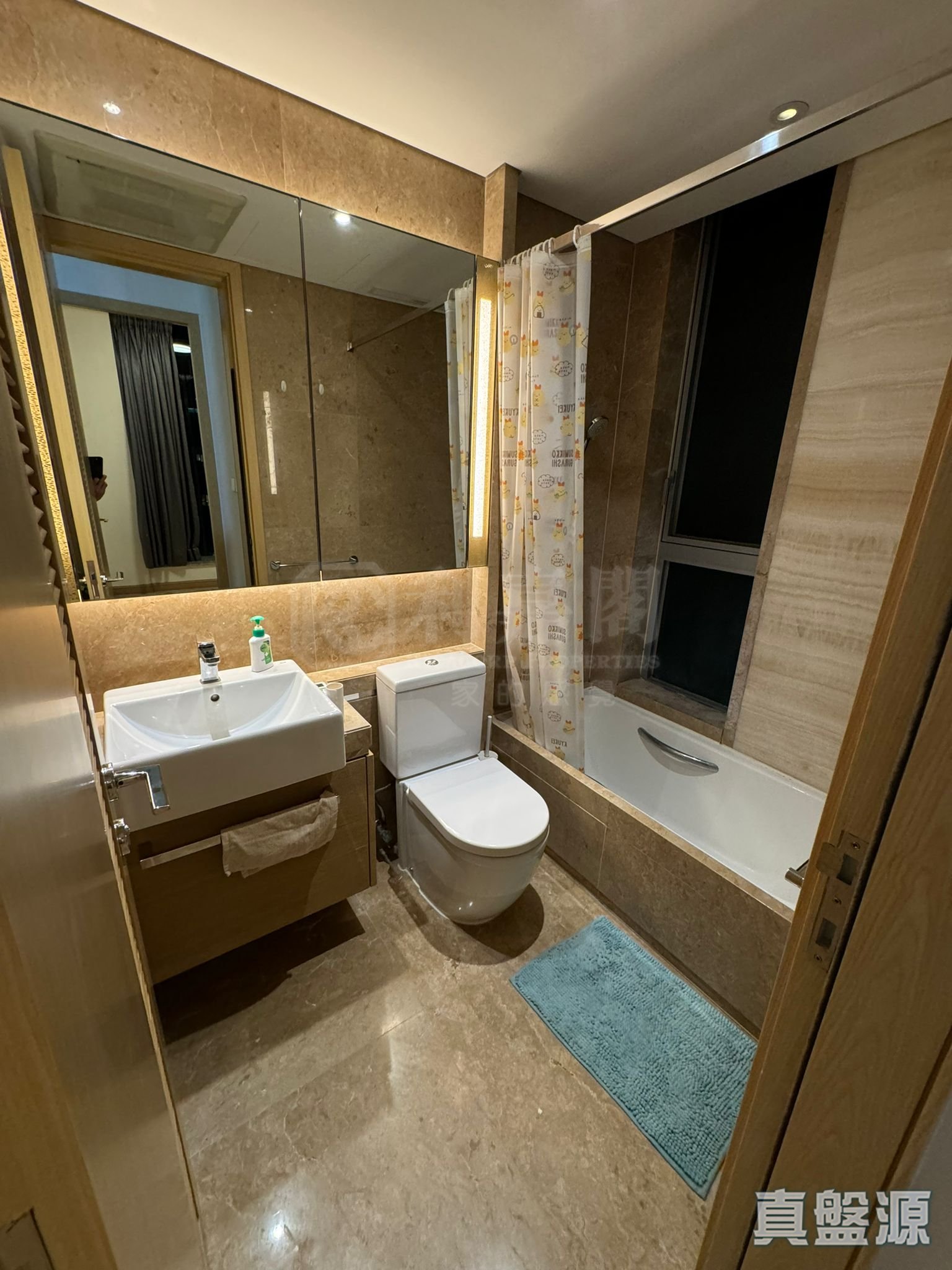 THE PARKSIDE 2A座 極高層 B室 將軍澳