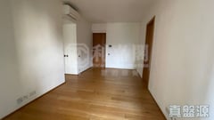 殷然 低層 C室 西半山