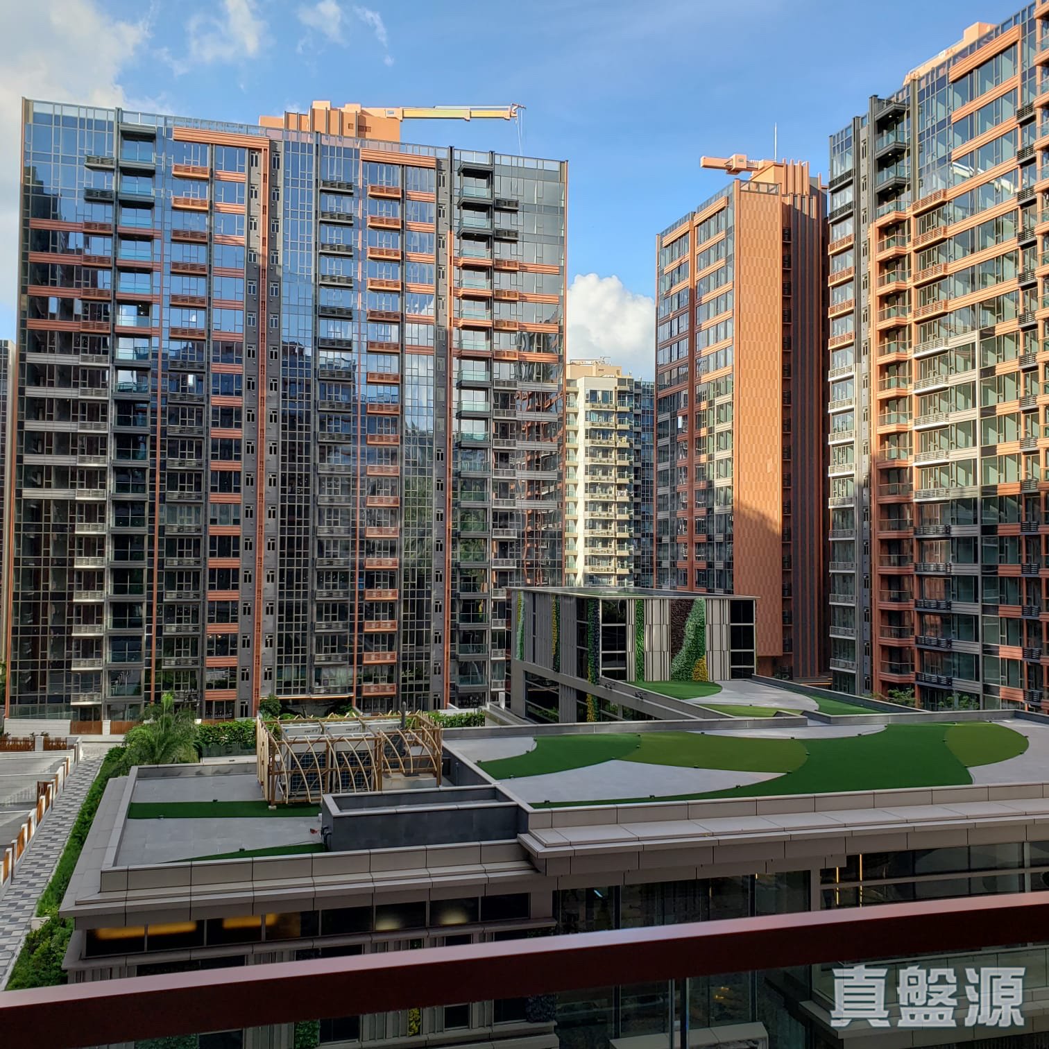 海日灣II 2座 中層 B室 大埔