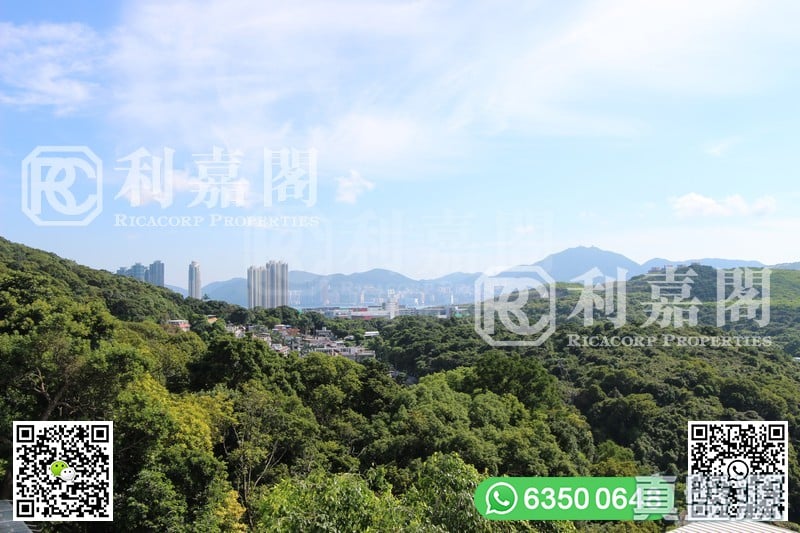 孟公屋洪屋 西貢