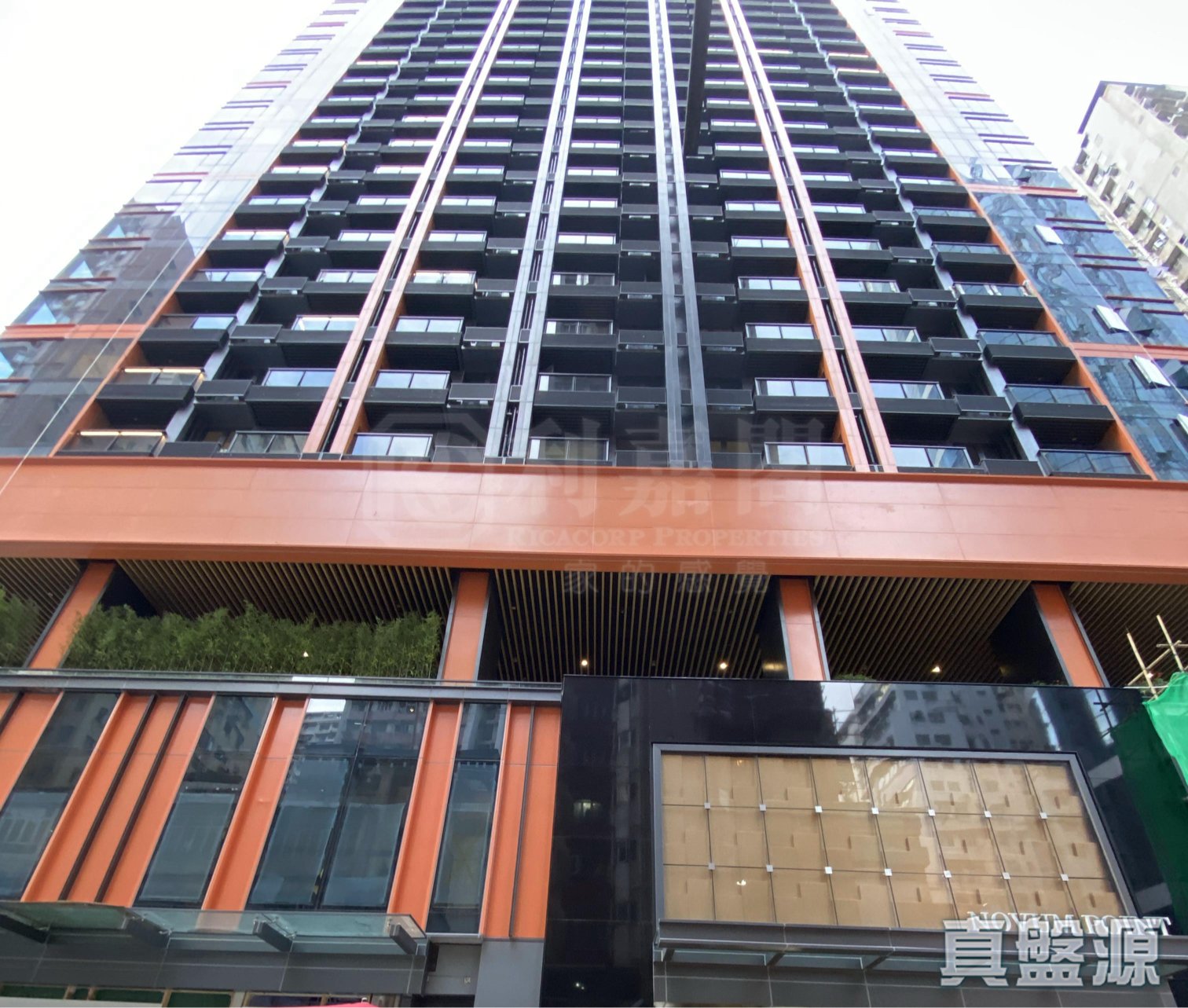 君誉峰 中层 G室 北角/北角半山