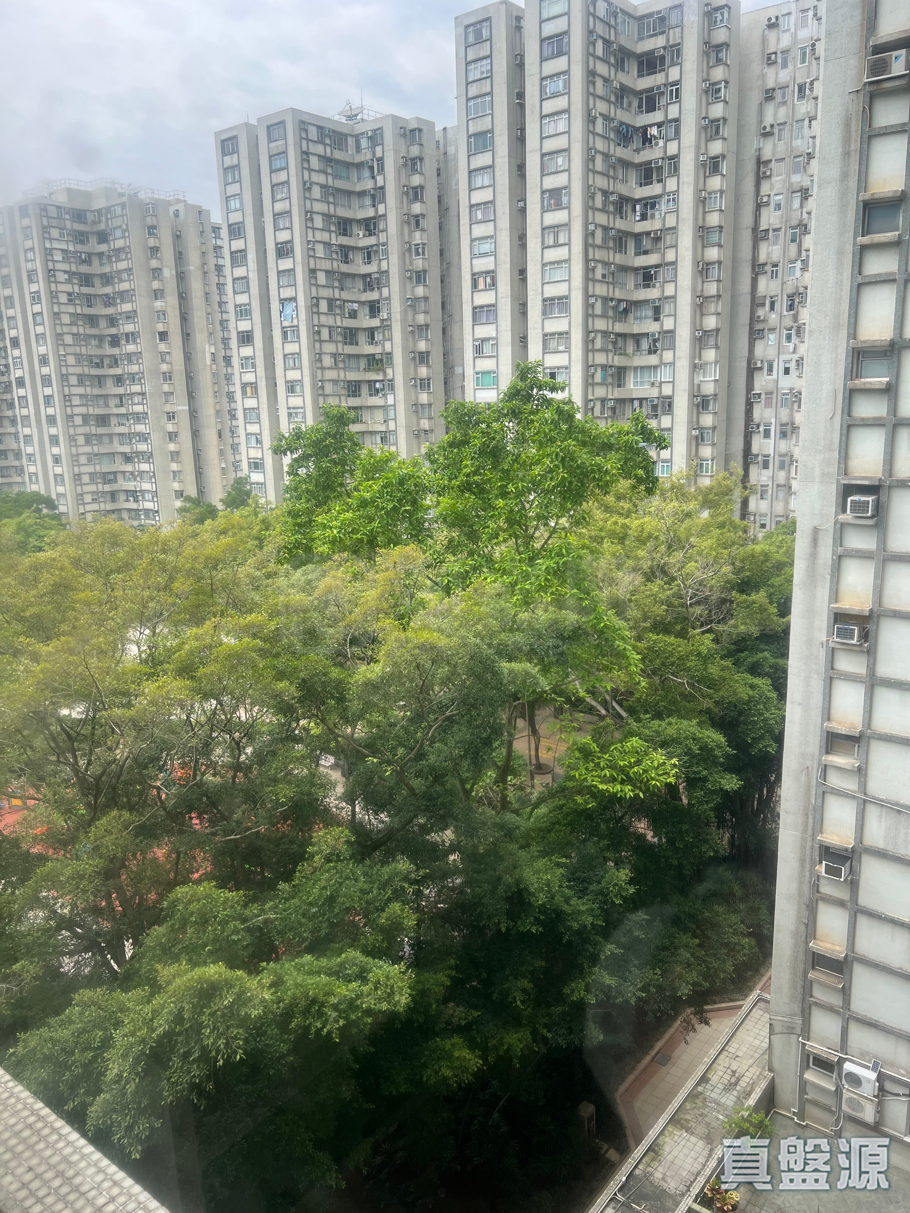 鯉景灣 C段 怡坤閣 (10座) 中層 E室 西灣河/筲箕灣