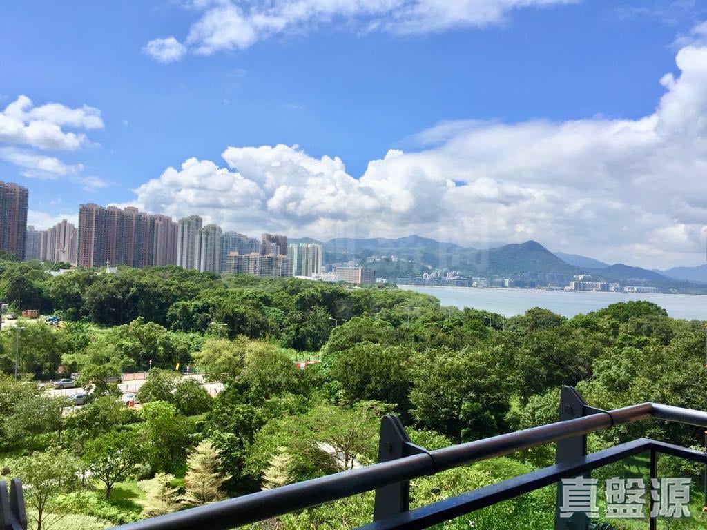 迎海 4期 迎海．駿岸 8座 低層 A室 馬鞍山