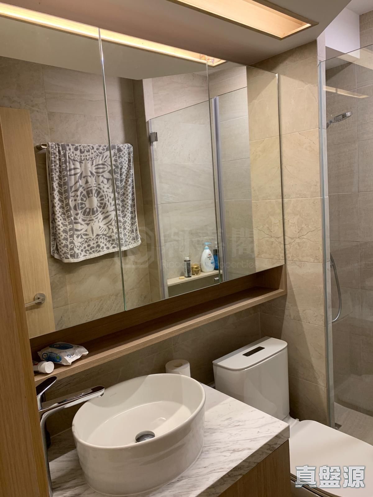 摘星阁 高层 跑马地/东半山