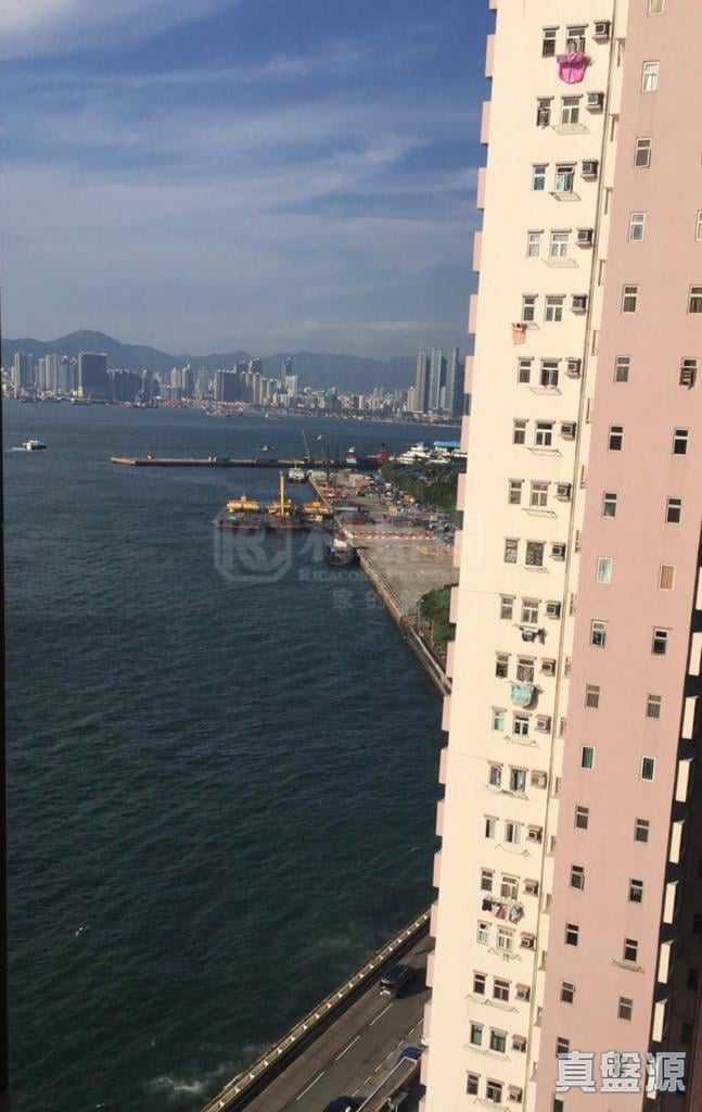 泓都 1座 低层 D室 中上环/西区