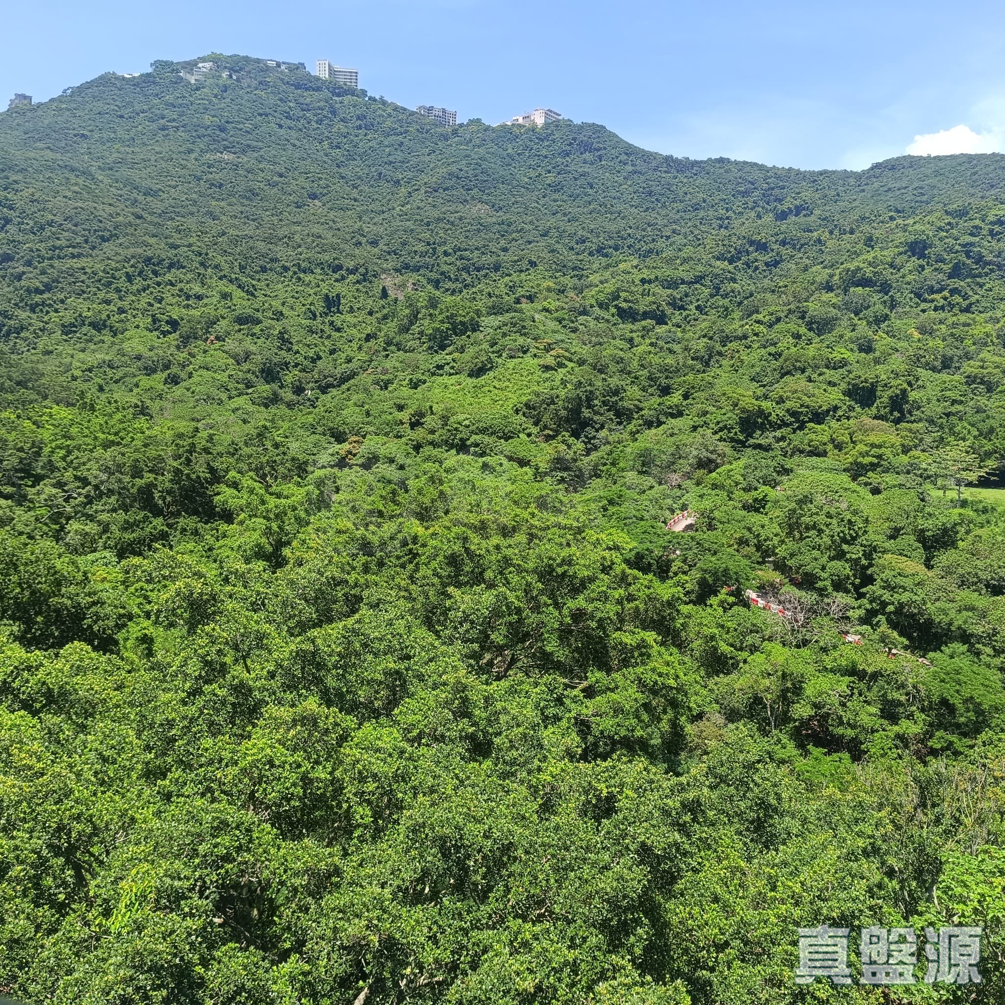 置富花园 雅致洋房L6座 高层 薄扶林