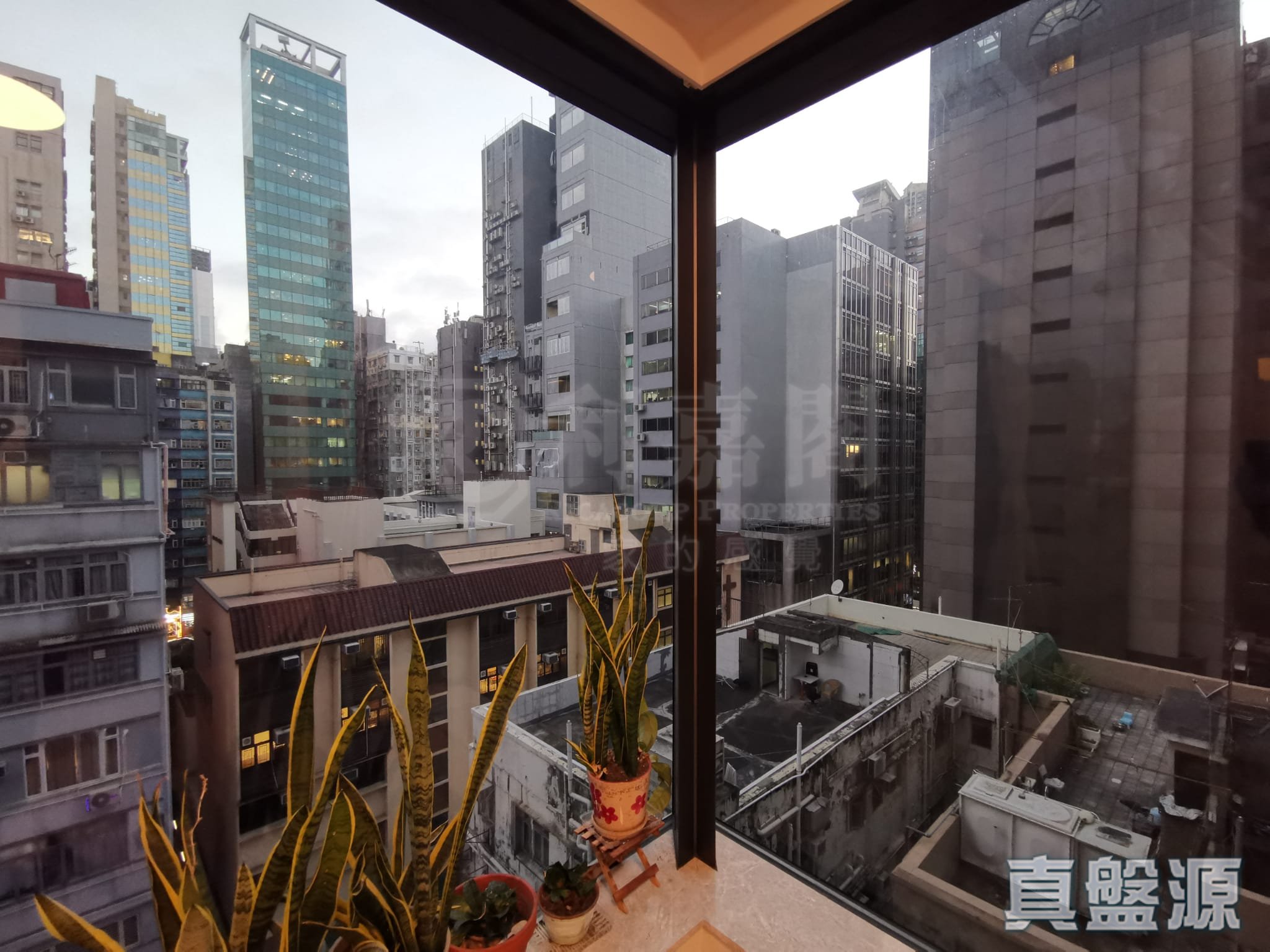 本木 高層 九龍站/尖沙咀/佐敦